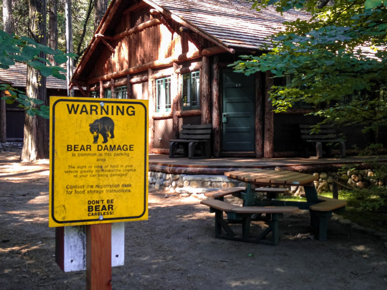 Bear warning sign in Yosemite Park - California, USA