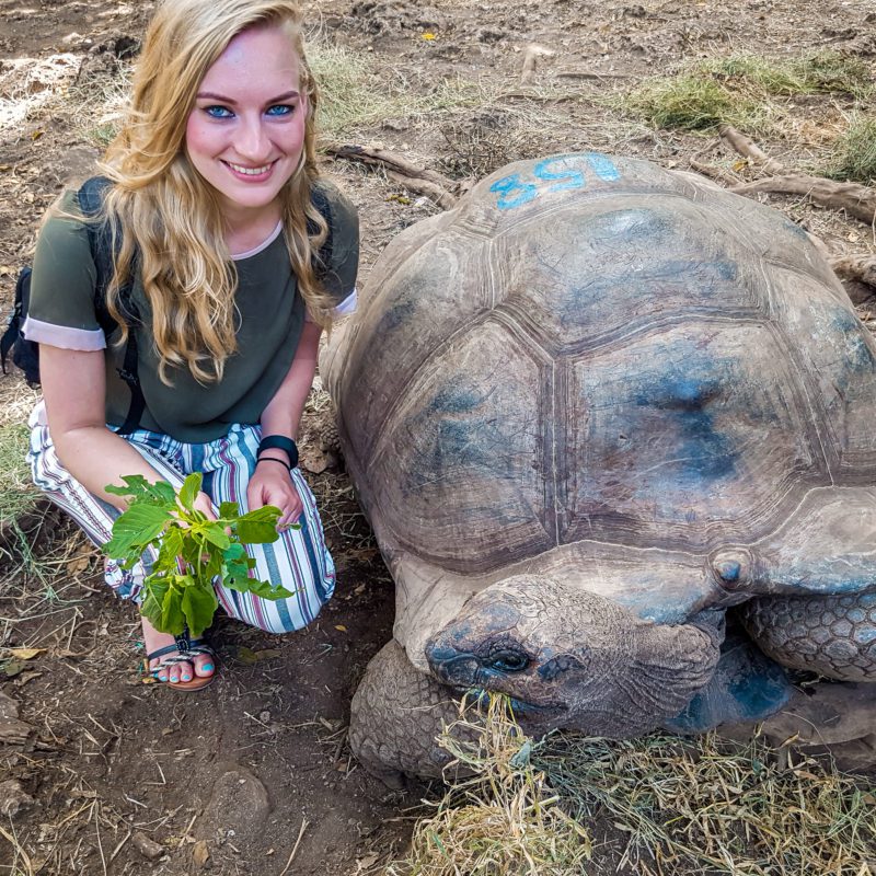 Travel girl feeding giant tortoise at Prison Island, Zanzibar, Tanzania