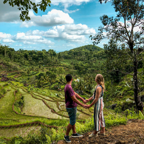 Rice terraces at Kedung Kandang Yogyakarta