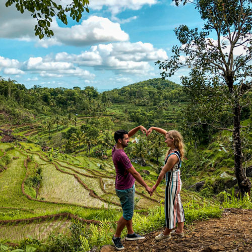 Quiet rice terraces at Kedung Kandang Yogyakarta