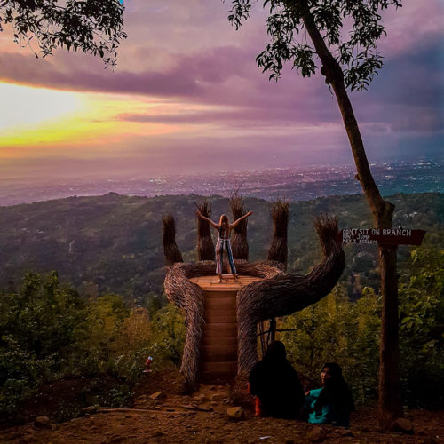 Watching the sunset at Pinus Pengger forest