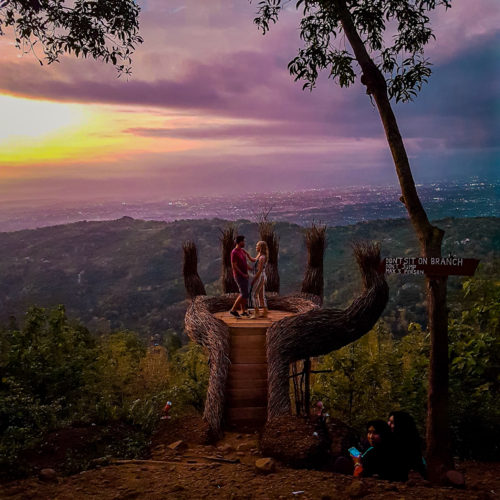 Pancawara - the Hand of Pinus Pengger forest in Yogyakarta