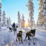What to expect from Husky Sledding in Finnish Lapland as a couple - Couple on a Husky Sledding Safari in Finnish Lapland