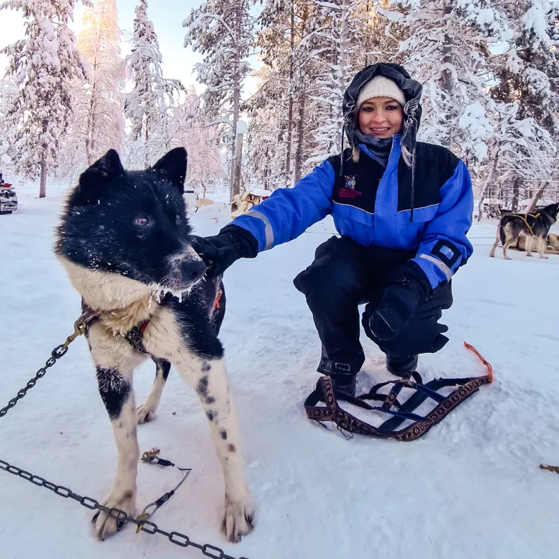 What to expect from Husky Sledding in Finnish Lapland as a couple - Saying goodbye to the huskies