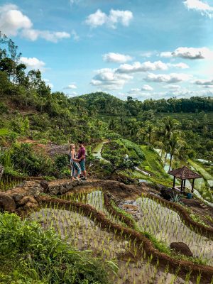 Rice Terraces at Kedung Kandang in Yogyakarta