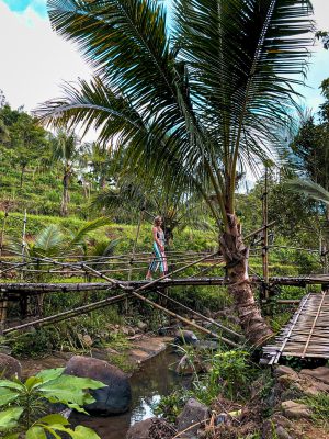 Wooden Bridge at the rice fields of Kedung Kandang Yogyakarta