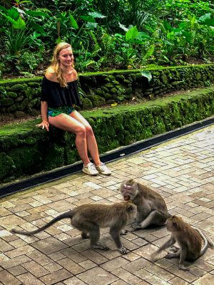 Group of monkeys at Monkey Forest Ubud Bali