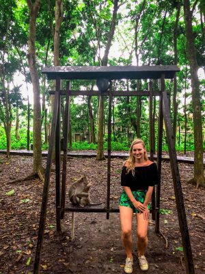 Monkeys on the swing at Monkey Forest Ubud Bali