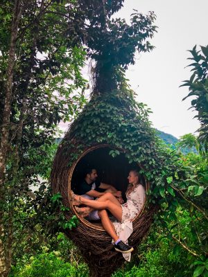 Cute bird nest at Wanagiri Hidden Hill Bali