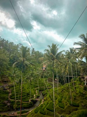 Extreme Swing at the Terrace River Pool Swing in Ubud Bali