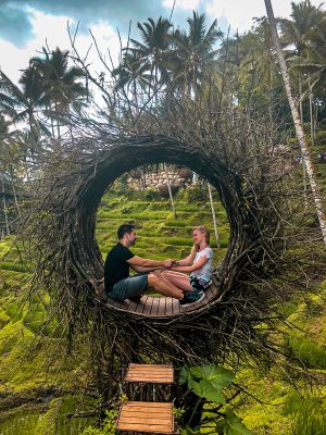 Instagrammable bird nest at the Terrace River Pool Swing in Ubud Bali