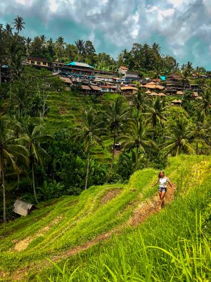 The Tegallalang Rice fields in Ubud Bali