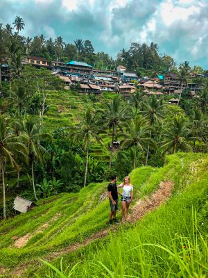 Tegallalang rice fields in Ubud Bali